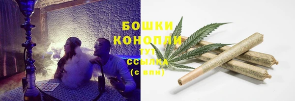 спиды Аркадак