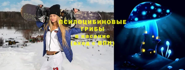спиды Армянск