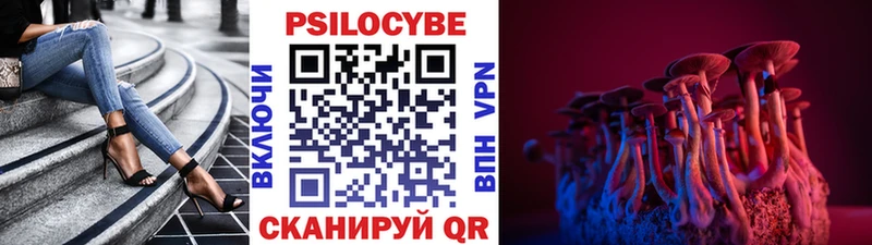 Галлюциногенные грибы Psilocybe где найти наркотики Судогда